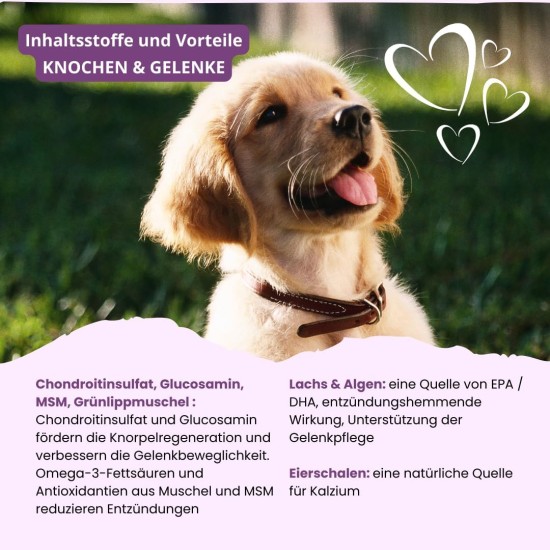 Vitamins for Dogs, Delicious Dog Soothing Food Supplement, Calming Agent for Dogs, Improvement of the Nervous System, Bark-Inhibiting, L-Tryptophan Vitamins for Dogs, Delicious Dog Soothing Food Supplement, Calming Agent for Dogs, Improvement of the Nervous System, Bark-Inhibiting, L-Tryptophan