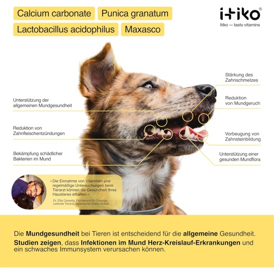 Vitamins for Dogs, Delicious Dog Soothing Food Supplement, Calming Agent for Dogs, Improvement of the Nervous System, Bark-Inhibiting, L-Tryptophan Vitamins for Dogs, Delicious Dog Soothing Food Supplement, Calming Agent for Dogs, Improvement of the Nervous System, Bark-Inhibiting, L-Tryptophan