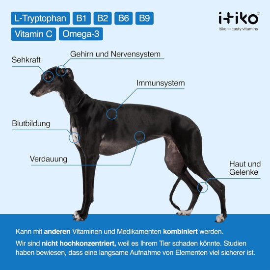 Vitamins for Dogs, Delicious Dog Soothing Food Supplement, Calming Agent for Dogs, Improvement of the Nervous System, Bark-Inhibiting, L-Tryptophan Vitamins for Dogs, Delicious Dog Soothing Food Supplement, Calming Agent for Dogs, Improvement of the Nervous System, Bark-Inhibiting, L-Tryptophan