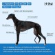Vitamins for Dogs, Delicious Dog Soothing Food Supplement, Calming Agent for Dogs, Improvement of the Nervous System, Bark-Inhibiting, L-Tryptophan Vitamins for Dogs, Delicious Dog Soothing Food Supplement, Calming Agent for Dogs, Improvement of the Nervous System, Bark-Inhibiting, L-Tryptophan