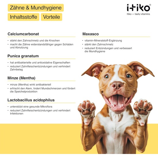 Vitamins for Dogs, Delicious Dog Soothing Food Supplement, Calming Agent for Dogs, Improvement of the Nervous System, Bark-Inhibiting, L-Tryptophan Vitamins for Dogs, Delicious Dog Soothing Food Supplement, Calming Agent for Dogs, Improvement of the Nervous System, Bark-Inhibiting, L-Tryptophan