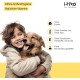 Vitamins for Dogs, Delicious Dog Soothing Food Supplement, Calming Agent for Dogs, Improvement of the Nervous System, Bark-Inhibiting, L-Tryptophan Vitamins for Dogs, Delicious Dog Soothing Food Supplement, Calming Agent for Dogs, Improvement of the Nervous System, Bark-Inhibiting, L-Tryptophan