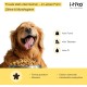 Vitamins for Dogs, Delicious Dog Soothing Food Supplement, Calming Agent for Dogs, Improvement of the Nervous System, Bark-Inhibiting, L-Tryptophan Vitamins for Dogs, Delicious Dog Soothing Food Supplement, Calming Agent for Dogs, Improvement of the Nervous System, Bark-Inhibiting, L-Tryptophan