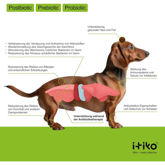 Vitamins for Dogs, Delicious Dog Soothing Food Supplement, Calming Agent for Dogs, Improvement of the Nervous System, Bark-Inhibiting, L-Tryptophan Vitamins for Dogs, Delicious Dog Soothing Food Supplement, Calming Agent for Dogs, Improvement of the Nervous System, Bark-Inhibiting, L-Tryptophan