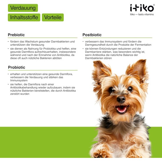Vitamins for Dogs, Delicious Dog Soothing Food Supplement, Calming Agent for Dogs, Improvement of the Nervous System, Bark-Inhibiting, L-Tryptophan Vitamins for Dogs, Delicious Dog Soothing Food Supplement, Calming Agent for Dogs, Improvement of the Nervous System, Bark-Inhibiting, L-Tryptophan