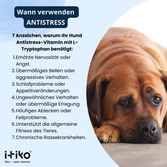Vitamins for Dogs, Delicious Dog Soothing Food Supplement, Calming Agent for Dogs, Improvement of the Nervous System, Bark-Inhibiting, L-Tryptophan Vitamins for Dogs, Delicious Dog Soothing Food Supplement, Calming Agent for Dogs, Improvement of the Nervous System, Bark-Inhibiting, L-Tryptophan