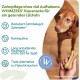 WHIMZEES Natural Gluten-free Dental Care Snacks, Chew Sticks for Dogs, Rice Bone, L, 9 x 60g WHIMZEES Natural Gluten-free Dental Care Snacks, Chew Sticks for Dogs, Rice Bone, L, 9 x 60g