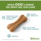 WHIMZEES Natural Gluten-free Dental Care Snacks, Chew Sticks for Dogs, Rice Bone, L, 9 x 60g