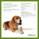 WHIMZEES Natural Gluten-free Dental Care Snacks, Chew Sticks for Dogs, Rice Bone, L, 9 x 60g