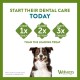 WHIMZEES Natural Gluten-free Dental Care Snacks, Chew Sticks for Dogs, Rice Bone, L, 9 x 60g WHIMZEES Natural Gluten-free Dental Care Snacks, Chew Sticks for Dogs, Rice Bone, L, 9 x 60g