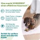 WHIMZEES Soft Stix Extra Small 56 Pieces Softer Chew Sticks for Very Small Dogs for Dental Care, Gentle Care, Suitable for Aging Dogs, No Added Sugar, Grain Free WHIMZEES Soft Stix Extra Small 56 Pieces Softer Chew Sticks for Very Small Dogs for Dental Care, Gentle Care, Suitable for Aging Dogs, No Added Sugar, Grain Free