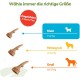 WHIMZEES by Wellness Antler Antler Dog Snack for Medium Dogs, Medium, Pack of 12, Calming, No Added Sugar, Grain-Free, Natural, Low Fat WHIMZEES by Wellness Antler Antler Dog Snack for Medium Dogs, Medium, Pack of 12, Calming, No Added Sugar, Grain-Free, Natural, Low Fat