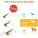 WHIMZEES by Wellness Antler Antler Dog Snack for Medium Dogs, Medium, Pack of 12, Calming, No Added Sugar, Grain-Free, Natural, Low Fat WHIMZEES by Wellness Antler Antler Dog Snack for Medium Dogs, Medium, Pack of 12, Calming, No Added Sugar, Grain-Free, Natural, Low Fat