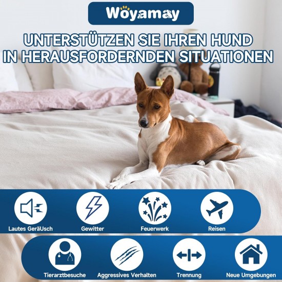 Woyamay Calming Agents for Dogs, Pack of 200 Natural Sedative Snacks for Dogs, Against Separation Anxiety, Barking, Fireworks & Thunderstorms - For All Dog Breeds, Chicken Flavour Woyamay Calming Agents for Dogs, Pack of 200 Natural Sedative Snacks for Dogs, Against Separation Anxiety, Barking, Fireworks & Thunderstorms - For All Dog Breeds, Chicken Flavour