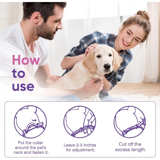 YFCACT Pack of 4 Calm Collars, Natural Sedative for Small, Medium, Large Dogs, Pheromones for Anxiety, Stress and Aggressiveness, 60 Days, Effective Time, Waterproof, Adjustable Sedative YFCACT Pack of 4 Calm Collars, Natural Sedative for Small, Medium, Large Dogs, Pheromones for Anxiety, Stress and Aggressiveness, 60 Days, Effective Time, Waterproof, Adjustable Sedative