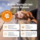 Zesty Paws Calming Chews for Dogs Relaxation & Anti-Stress Agent for Dogs Ashwagandha, Green Tea and L-Tryptophan For All Breeds with Turkey Flavour Pack of 90 Zesty Paws Calming Chews for Dogs Relaxation & Anti-Stress Agent for Dogs Ashwagandha, Green Tea and L-Tryptophan For All Breeds with Turkey Flavour Pack of 90
