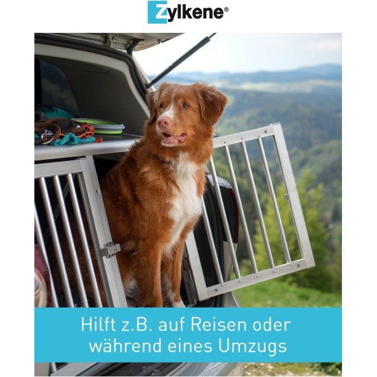 Zylkene Vetoquinol 225 mg | 50 Capsules | Supplementary Feed for Dogs | Support in Unfamiliar Situations | With Trypsin Hydrolysed Cattle Casein Zylkene Vetoquinol 225 mg | 50 Capsules | Supplementary Feed for Dogs | Support in Unfamiliar Situations | With Trypsin Hydrolysed Cattle Casein