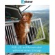 Zylkene Vetoquinol 225 mg | 50 Capsules | Supplementary Feed for Dogs | Support in Unfamiliar Situations | With Trypsin Hydrolysed Cattle Casein Zylkene Vetoquinol 225 mg | 50 Capsules | Supplementary Feed for Dogs | Support in Unfamiliar Situations | With Trypsin Hydrolysed Cattle Casein