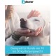 Zylkene Vetoquinol 225 mg | 50 Capsules | Supplementary Feed for Dogs | Support in Unfamiliar Situations | With Trypsin Hydrolysed Cattle Casein Zylkene Vetoquinol 225 mg | 50 Capsules | Supplementary Feed for Dogs | Support in Unfamiliar Situations | With Trypsin Hydrolysed Cattle Casein