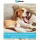 Zylkene Vetoquinol 225 mg | 50 Capsules | Supplementary Feed for Dogs | Support in Unfamiliar Situations | With Trypsin Hydrolysed Cattle Casein Zylkene Vetoquinol 225 mg | 50 Capsules | Supplementary Feed for Dogs | Support in Unfamiliar Situations | With Trypsin Hydrolysed Cattle Casein