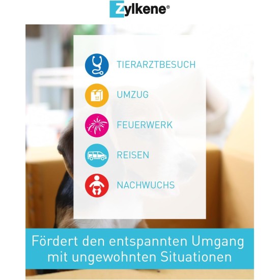Zylkene Vetoquinol 225 mg | 50 Capsules | Supplementary Feed for Dogs | Support in Unfamiliar Situations | With Trypsin Hydrolysed Cattle Casein Zylkene Vetoquinol 225 mg | 50 Capsules | Supplementary Feed for Dogs | Support in Unfamiliar Situations | With Trypsin Hydrolysed Cattle Casein