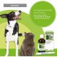 alfavet Urostat Supplementary Feed to Reduce Urinary Stone Formation for Dogs and Cats with Nettle and Golden Rod, 100 ml, Dosing Syringe alfavet Urostat Supplementary Feed to Reduce Urinary Stone Formation for Dogs and Cats with Nettle and Golden Rod, 100 ml, Dosing Syringe