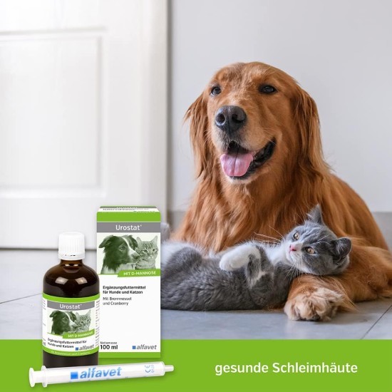 alfavet Urostat Supplementary Feed to Reduce Urinary Stone Formation for Dogs and Cats with Nettle and Golden Rod, 100 ml, Dosing Syringe alfavet Urostat Supplementary Feed to Reduce Urinary Stone Formation for Dogs and Cats with Nettle and Golden Rod, 100 ml, Dosing Syringe