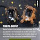 alphazoo Seelenruhe Anti-Stress Bach Flowers for Dogs and Cats 15 g I Globules Calming Tablets Against Hustle and Stress I Natural Soothing Agent alphazoo Seelenruhe Anti-Stress Bach Flowers for Dogs and Cats 15 g I Globules Calming Tablets Against Hustle and Stress I Natural Soothing Agent