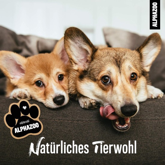alphazoo Seelenruhe Anti-Stress Bach Flowers for Dogs and Cats 15 g I Globules Calming Tablets Against Hustle and Stress I Natural Soothing Agent alphazoo Seelenruhe Anti-Stress Bach Flowers for Dogs and Cats 15 g I Globules Calming Tablets Against Hustle and Stress I Natural Soothing Agent