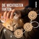 alphazoo Seelenruhe Anti-Stress Bach Flowers for Dogs and Cats 15 g I Globules Calming Tablets Against Hustle and Stress I Natural Soothing Agent alphazoo Seelenruhe Anti-Stress Bach Flowers for Dogs and Cats 15 g I Globules Calming Tablets Against Hustle and Stress I Natural Soothing Agent