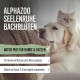 alphazoo Seelenruhe Anti-Stress Bach Flowers for Dogs and Cats 15 g I Globules Calming Tablets Against Hustle and Stress I Natural Soothing Agent alphazoo Seelenruhe Anti-Stress Bach Flowers for Dogs and Cats 15 g I Globules Calming Tablets Against Hustle and Stress I Natural Soothing Agent