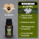 alphazoo Seelenruhe Anti-Stress Bach Flowers for Dogs and Cats 15 g I Globules Calming Tablets Against Hustle and Stress I Natural Soothing Agent alphazoo Seelenruhe Anti-Stress Bach Flowers for Dogs and Cats 15 g I Globules Calming Tablets Against Hustle and Stress I Natural Soothing Agent