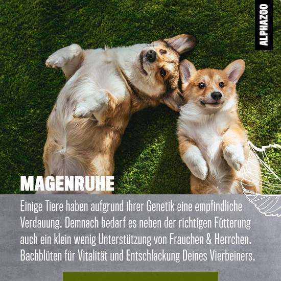 alphazoo Seelenruhe Anti-Stress Bach Flowers for Dogs and Cats 15 g I Globules Calming Tablets Against Hustle and Stress I Natural Soothing Agent alphazoo Seelenruhe Anti-Stress Bach Flowers for Dogs and Cats 15 g I Globules Calming Tablets Against Hustle and Stress I Natural Soothing Agent