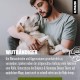 alphazoo Seelenruhe Anti-Stress Bach Flowers for Dogs and Cats 15 g I Globules Calming Tablets Against Hustle and Stress I Natural Soothing Agent alphazoo Seelenruhe Anti-Stress Bach Flowers for Dogs and Cats 15 g I Globules Calming Tablets Against Hustle and Stress I Natural Soothing Agent