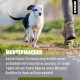 alphazoo Seelenruhe Anti-Stress Bach Flowers for Dogs and Cats 15 g I Globules Calming Tablets Against Hustle and Stress I Natural Soothing Agent alphazoo Seelenruhe Anti-Stress Bach Flowers for Dogs and Cats 15 g I Globules Calming Tablets Against Hustle and Stress I Natural Soothing Agent