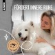 alphazoo Seelenruhe Anti-Stress Bach Flowers for Dogs and Cats 15 g I Globules Calming Tablets Against Hustle and Stress I Natural Soothing Agent alphazoo Seelenruhe Anti-Stress Bach Flowers for Dogs and Cats 15 g I Globules Calming Tablets Against Hustle and Stress I Natural Soothing Agent
