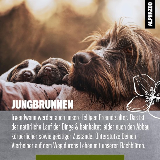 alphazoo Seelenruhe Anti-Stress Bach Flowers for Dogs and Cats 15 g I Globules Calming Tablets Against Hustle and Stress I Natural Soothing Agent alphazoo Seelenruhe Anti-Stress Bach Flowers for Dogs and Cats 15 g I Globules Calming Tablets Against Hustle and Stress I Natural Soothing Agent