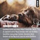 alphazoo Seelenruhe Anti-Stress Bach Flowers for Dogs and Cats 15 g I Globules Calming Tablets Against Hustle and Stress I Natural Soothing Agent alphazoo Seelenruhe Anti-Stress Bach Flowers for Dogs and Cats 15 g I Globules Calming Tablets Against Hustle and Stress I Natural Soothing Agent