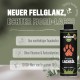 alphazoo Seelenruhe Combi Dogs, Calming Tablets, Oil for Dogs & Bach Flowers, Soothing, Relaxing & Against Stress, Natural & Relax alphazoo Seelenruhe Combi Dogs, Calming Tablets, Oil for Dogs & Bach Flowers, Soothing, Relaxing & Against Stress, Natural & Relax