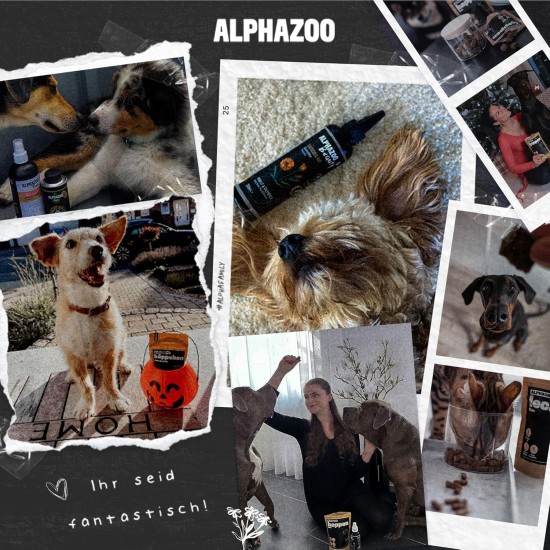 alphazoo Seelenruhe Combi Dogs, Calming Tablets, Oil for Dogs & Bach Flowers, Soothing, Relaxing & Against Stress, Natural & Relax alphazoo Seelenruhe Combi Dogs, Calming Tablets, Oil for Dogs & Bach Flowers, Soothing, Relaxing & Against Stress, Natural & Relax