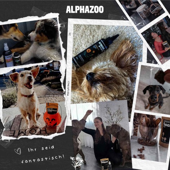 alphazoo Seelenruhe Combi Dogs, Calming Tablets, Oil for Dogs & Bach Flowers, Soothing, Relaxing & Against Stress, Natural & Relax alphazoo Seelenruhe Combi Dogs, Calming Tablets, Oil for Dogs & Bach Flowers, Soothing, Relaxing & Against Stress, Natural & Relax