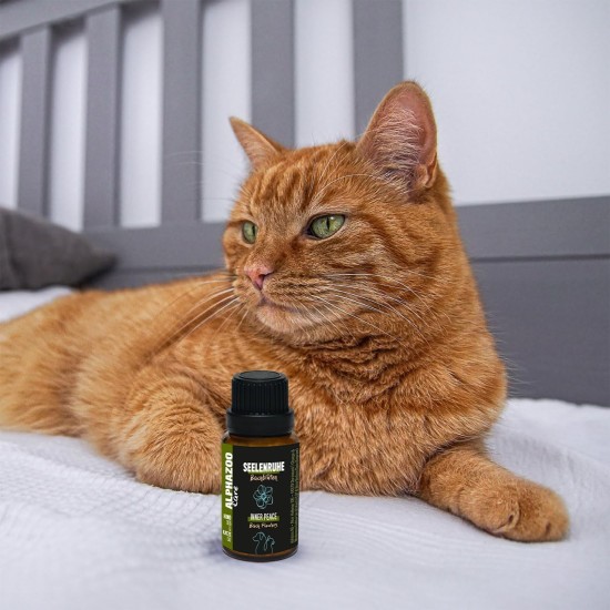 alphazoo Seelenruhe Combi Dogs, Calming Tablets, Oil for Dogs & Bach Flowers, Soothing, Relaxing & Against Stress, Natural & Relax alphazoo Seelenruhe Combi Dogs, Calming Tablets, Oil for Dogs & Bach Flowers, Soothing, Relaxing & Against Stress, Natural & Relax