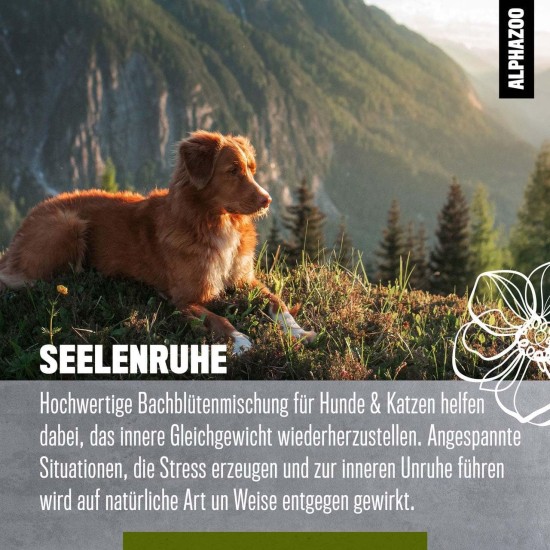 alphazoo Seelenruhe Combi Dogs, Calming Tablets, Oil for Dogs & Bach Flowers, Soothing, Relaxing & Against Stress, Natural & Relax alphazoo Seelenruhe Combi Dogs, Calming Tablets, Oil for Dogs & Bach Flowers, Soothing, Relaxing & Against Stress, Natural & Relax