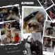 alphazoo Seelenruhe I Natürliches Beruhigungsmittel für Hunde I 50 x Tabletten mit Baldrian | Gegen Stress und Angst | Für mehr Entspannung alphazoo Seelenruhe I Natürliches Beruhigungsmittel für Hunde I 50 x Tabletten mit Baldrian | Gegen Stress und Angst | Für mehr Entspannung