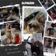 alphazoo Seelenruhe I Natürliches Beruhigungsmittel für Hunde I 50 x Tabletten mit Baldrian | Gegen Stress und Angst | Für mehr Entspannung alphazoo Seelenruhe I Natürliches Beruhigungsmittel für Hunde I 50 x Tabletten mit Baldrian | Gegen Stress und Angst | Für mehr Entspannung