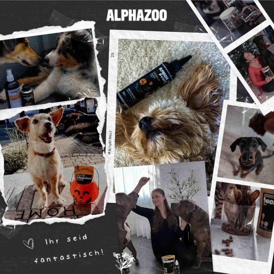 alphazoo Seelenruhe Natural Soothing Agent for Dogs, 120 x Tablets with Hemp Oil and Valerian, Against Stress and Anxiety, For More Relaxation alphazoo Seelenruhe Natural Soothing Agent for Dogs, 120 x Tablets with Hemp Oil and Valerian, Against Stress and Anxiety, For More Relaxation