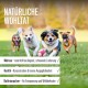 alphazoo Seelenruhe Natural Soothing Agent for Dogs, 120 x Tablets with Hemp Oil and Valerian, Against Stress and Anxiety, For More Relaxation