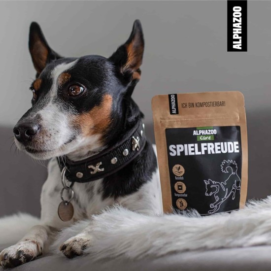 alphazoo Seelenruhe Natural Soothing Agent for Dogs, 120 x Tablets with Hemp Oil and Valerian, Against Stress and Anxiety, For More Relaxation alphazoo Seelenruhe Natural Soothing Agent for Dogs, 120 x Tablets with Hemp Oil and Valerian, Against Stress and Anxiety, For More Relaxation