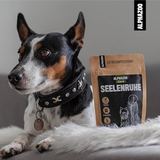 alphazoo Seelenruhe Natural Soothing Agent for Dogs, 120 x Tablets with Hemp Oil and Valerian, Against Stress and Anxiety, For More Relaxation alphazoo Seelenruhe Natural Soothing Agent for Dogs, 120 x Tablets with Hemp Oil and Valerian, Against Stress and Anxiety, For More Relaxation