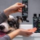 alphazoo Soothing Agent for Dogs I Peace of Mind Soothing Spray 100 ml with Valerian I Soothing for Car Trips, Travel, New Year's Eve & Being Alone I Strong Spray with Fragrance Against Stress I High alphazoo Soothing Agent for Dogs I Peace of Mind Soothing Spray 100 ml with Valerian I Soothing for Car Trips, Travel, New Year's Eve & Being Alone I Strong Spray with Fragrance Against Stress I High